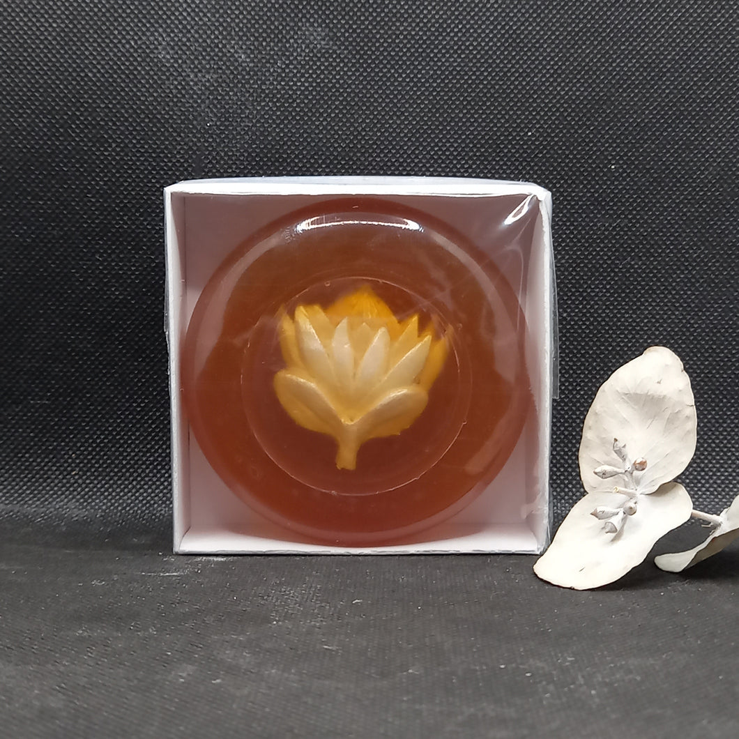 Protea Pebble in a Box