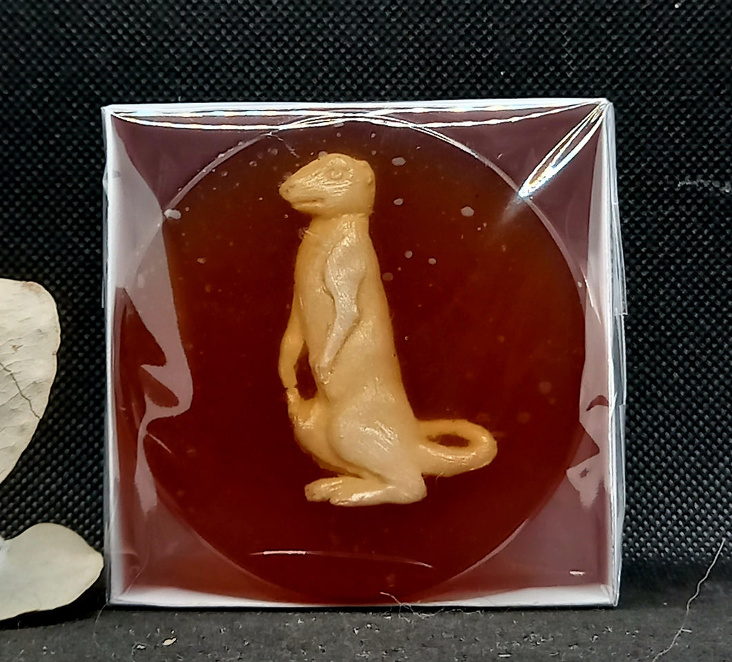 Meerkat Disk in a Box