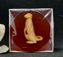 Load image into Gallery viewer, Inlay Disk in a Box
